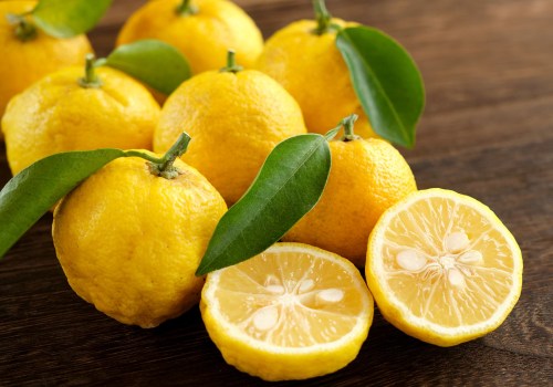 Citrus Perfumes: An Introduction